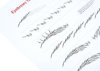 Englisches Microblading-Übungs-Augenbrauen-Tätowierungs-Buch für PMU-Training
