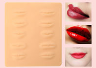 Waschbare Lippen der Fälschungs-3D üben Haut für Microblading-Make-uppraxis